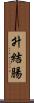 升結腸 Scroll