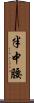 半中腰 Scroll