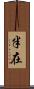 半在 Scroll