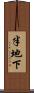 半地下 Scroll
