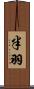半羽 Scroll