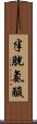 半胱氨酸 Scroll