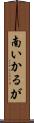 南いかるが Scroll