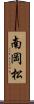 南岡松 Scroll