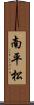 南平松 Scroll