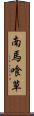 南馬喰草 Scroll