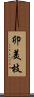 卯美枝 Scroll