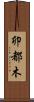 卯都木 Scroll