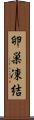 卵巣凍結 Scroll