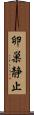 卵巣静止 Scroll