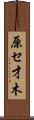 原セ才木 Scroll