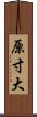 原寸大 Scroll