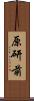 原研前 Scroll