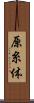 原糸体 Scroll
