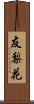 友梨花 Scroll