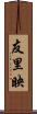 友里映 Scroll