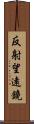 反射望遠鏡 Scroll