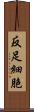 反足細胞 Scroll