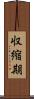 収縮期 Scroll