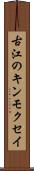 古江のキンモクセイ Scroll