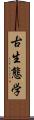古生態学 Scroll