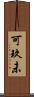 可玖未 Scroll