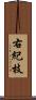 右紀枝 Scroll