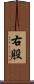 右股 Scroll