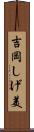 吉岡しげ美 Scroll