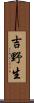 吉野生 Scroll