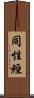 同性經 Scroll