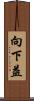 向下益 Scroll