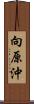 向原沖 Scroll