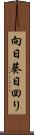 向日葵 Scroll