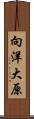 向洋大原 Scroll