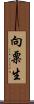 向粟生 Scroll