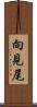 向見尾 Scroll