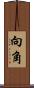 向角 Scroll