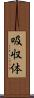 吸収体 Scroll