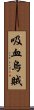 吸血烏賊 Scroll