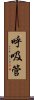 呼吸管 Scroll