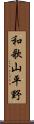 和歌山平野 Scroll