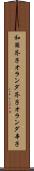和蘭芥子 Scroll