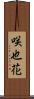 咲也花 Scroll