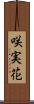 咲実花 Scroll