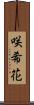 咲希花 Scroll