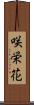 咲栄花 Scroll