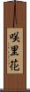 咲里花 Scroll