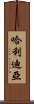 哈利迪亞 Scroll