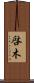 啓木 Scroll